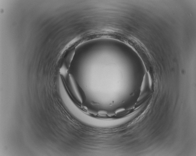 X0000084541210200702231218