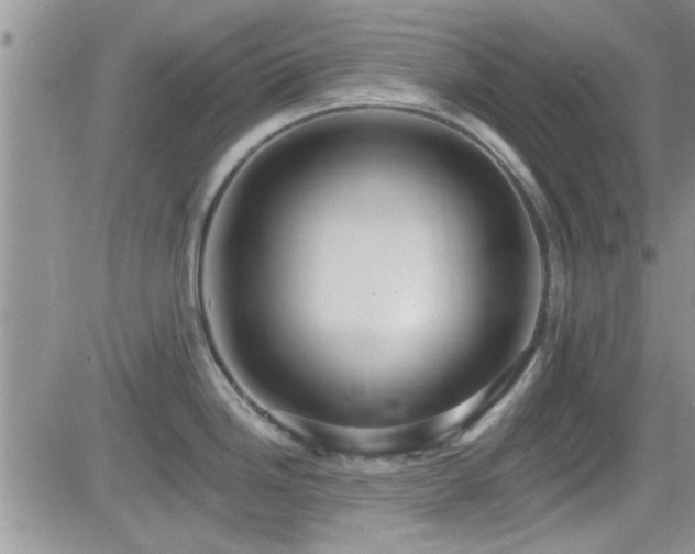 X0000084541246200702231219