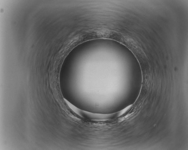 X0000084541249200702231218