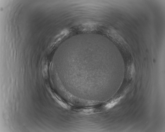X0000084541250200702231218