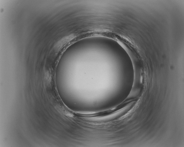 X0000084541257200702231218