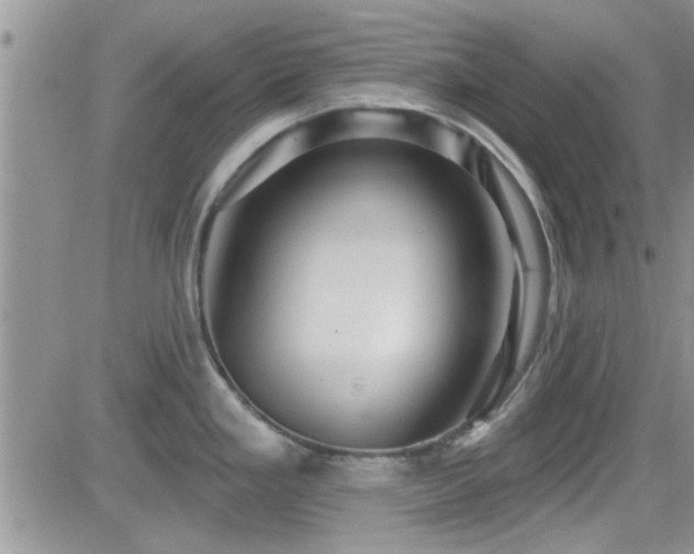 X0000084541293200702231217