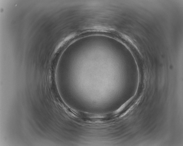 X0000084541307200702231217