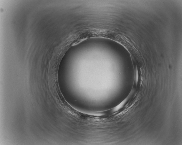 X0000084541345200702231216