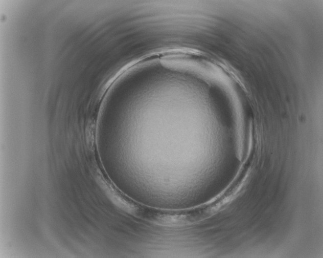 X0000084541369200702231216