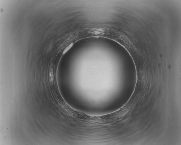X0000084541442200702231215