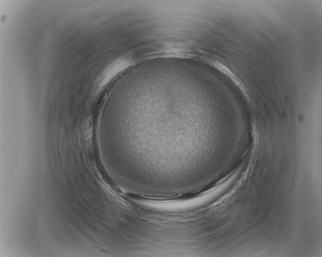 X0000084541450200702231214
