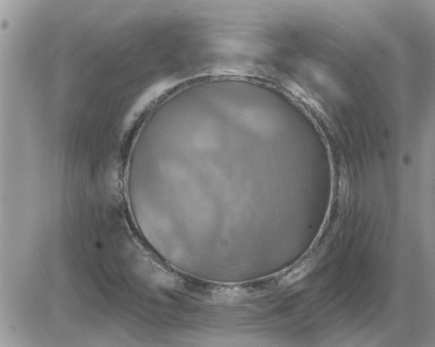 X0000084541454200702231214