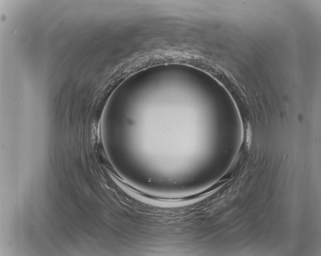 X0000084541492200702231213