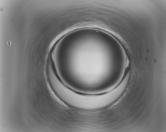 X0000084541518200702231214
