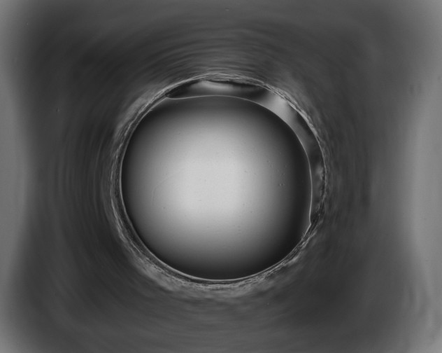 X0000084540001200703021454