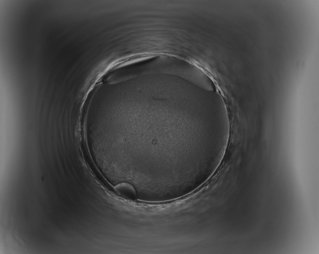 X0000084540002200703021454