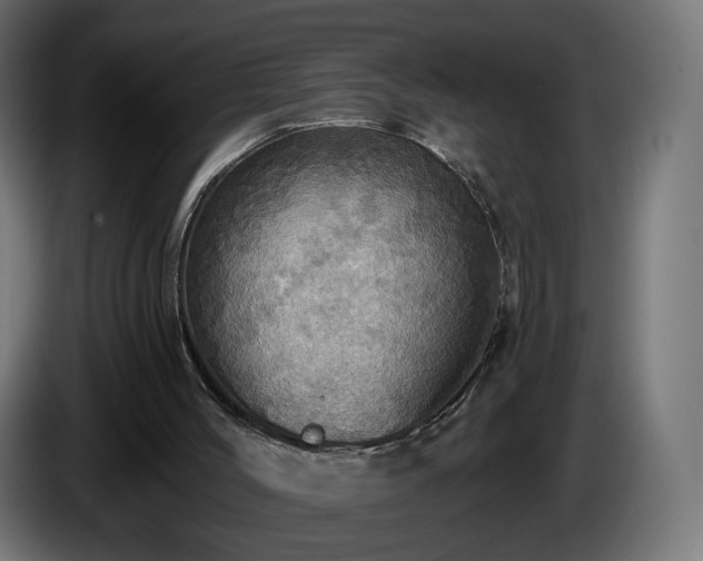 X0000084540004200703021454