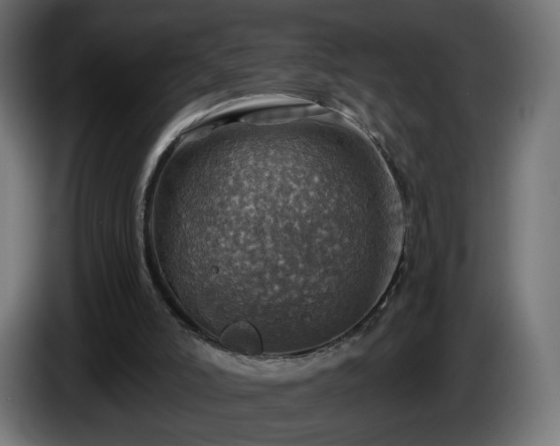 X0000084540006200703021454