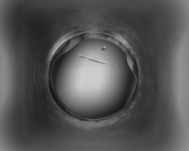 X0000084540007200703021454