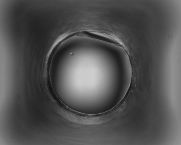 X0000084540008200703021454