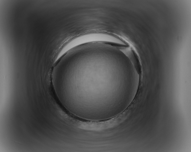 X0000084540009200703021454