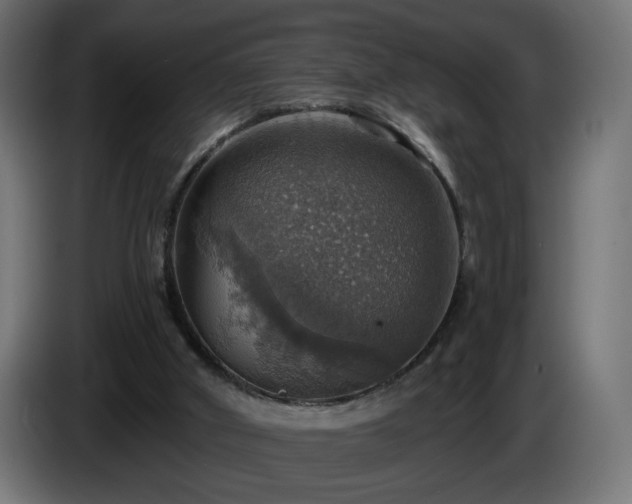 X0000084540010200703021454