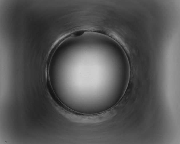 X0000084540011200703021454