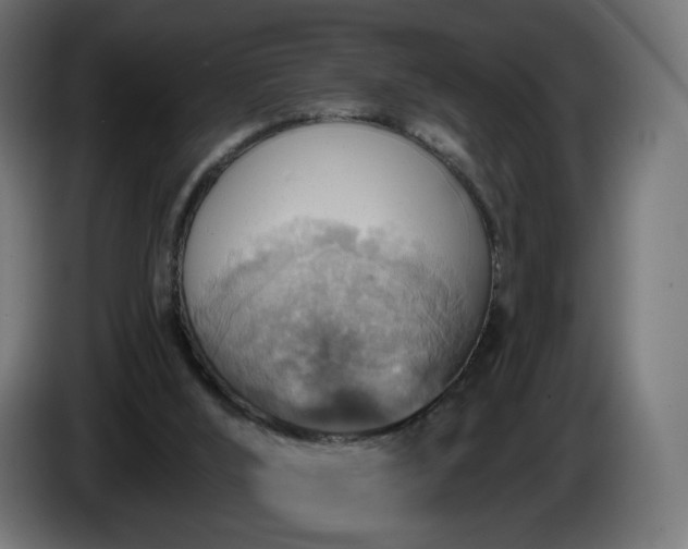 X0000084540012200703021454