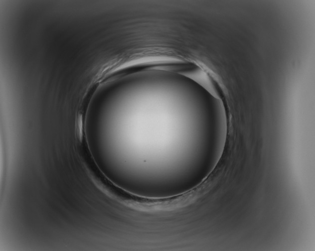 X0000084540013200703021454