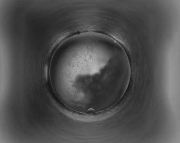 X0000084540014200703021454