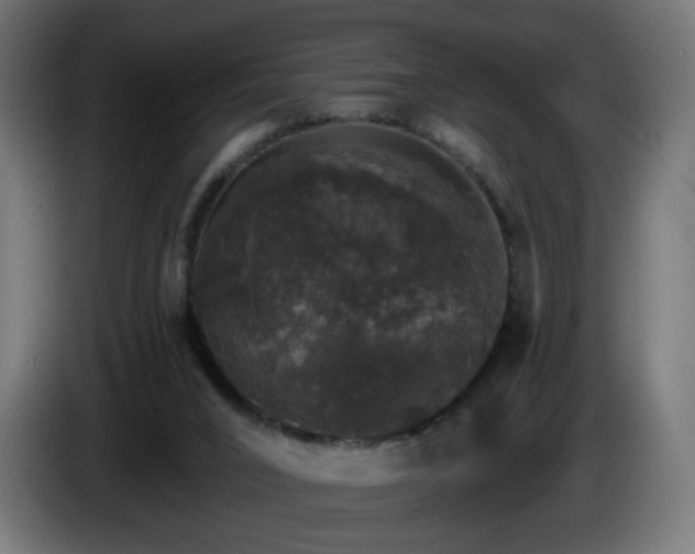 X0000084540016200703021454