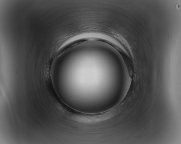 X0000084540017200703021454