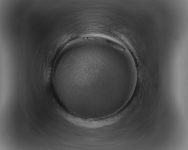 X0000084540018200703021454