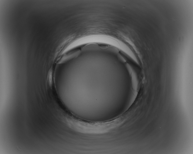 X0000084540019200703021454