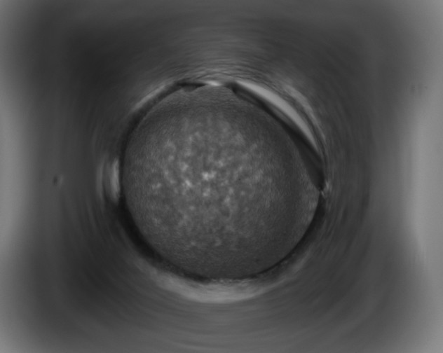 X0000084540020200703021454