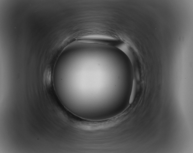 X0000084540021200703021454