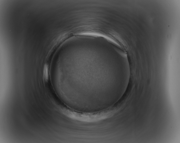 X0000084540022200703021454