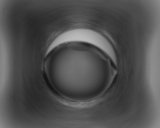 X0000084540023200703021454