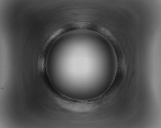 X0000084540024200703021454