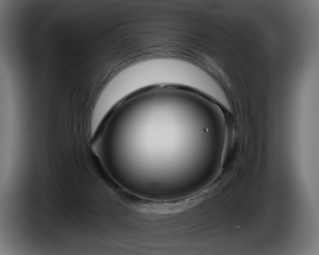 X0000084540025200703021454