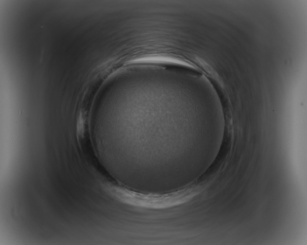 X0000084540026200703021454