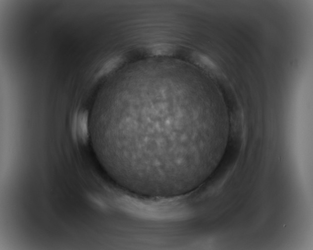 X0000084540028200703021454