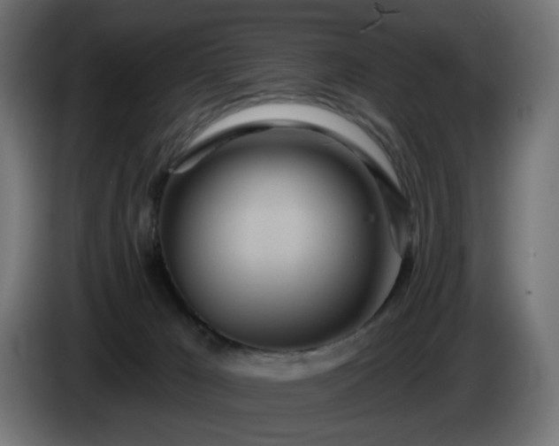 X0000084540029200703021454