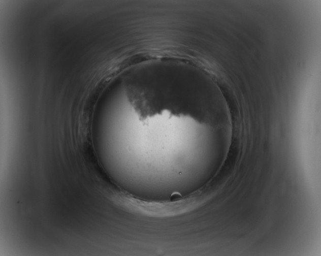 X0000084540030200703021454