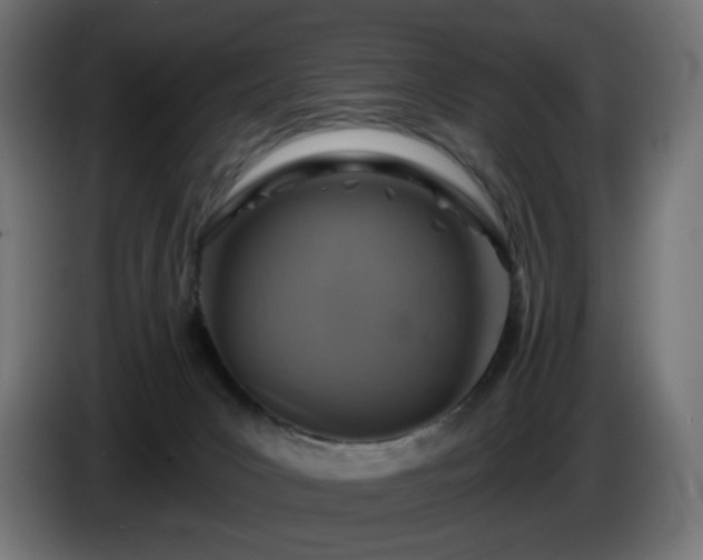 X0000084540031200703021454