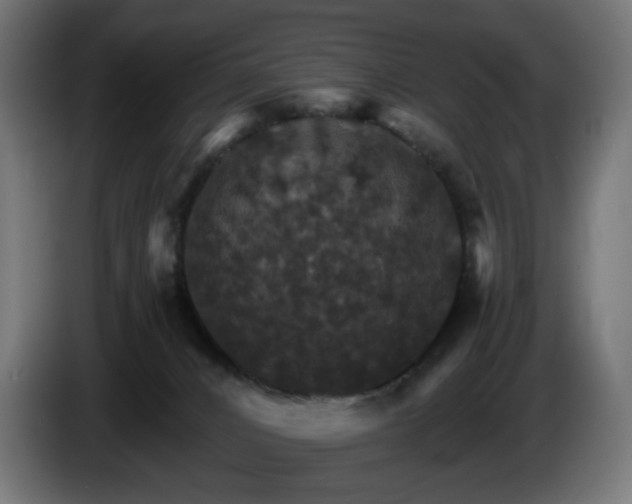 X0000084540032200703021453