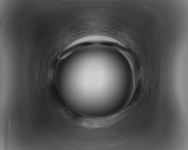 X0000084540033200703021453