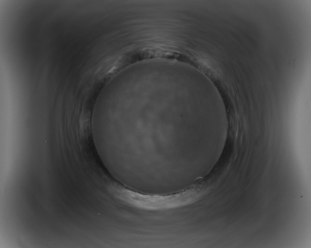 X0000084540034200703021453