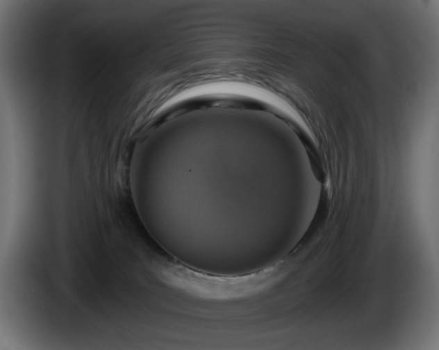 X0000084540035200703021453