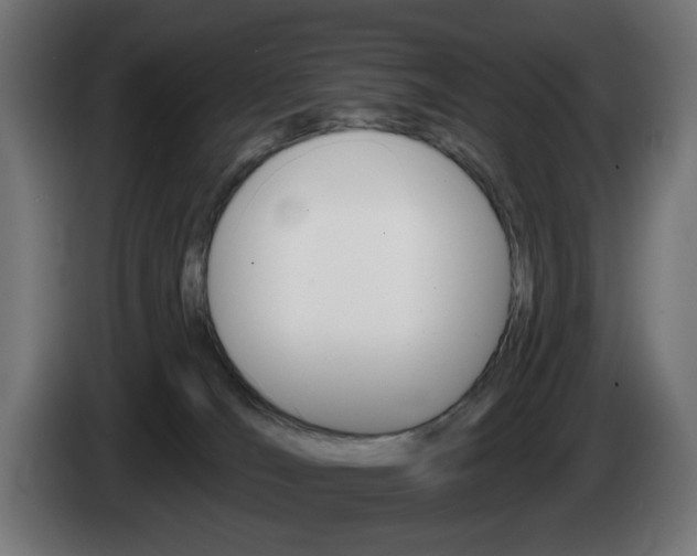 X0000084540036200703021453