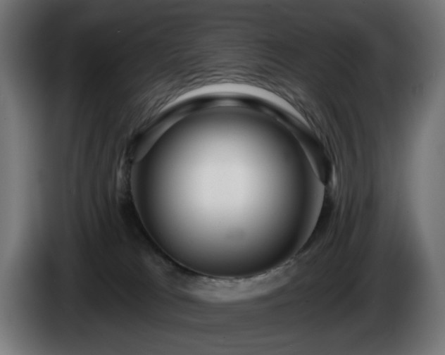 X0000084540037200703021453