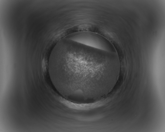 X0000084540038200703021453