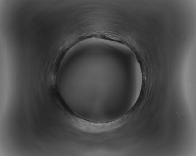 X0000084540039200703021453