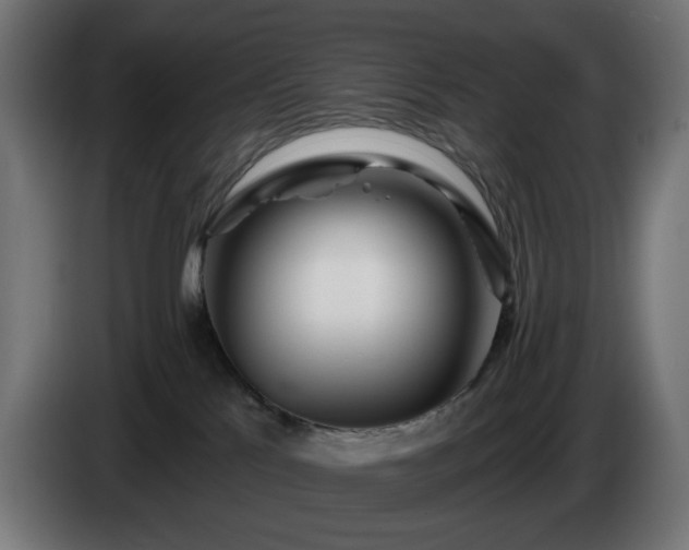 X0000084540041200703021453